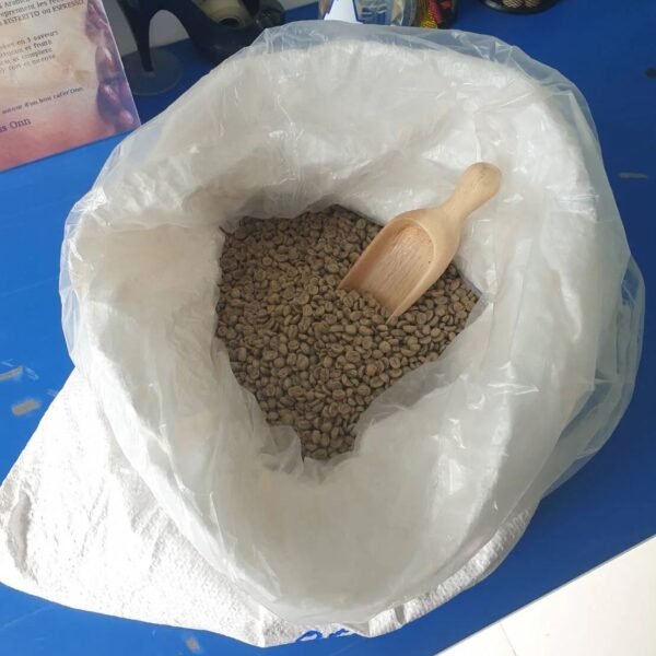 Arabica Green Coffee Beans - Image 3